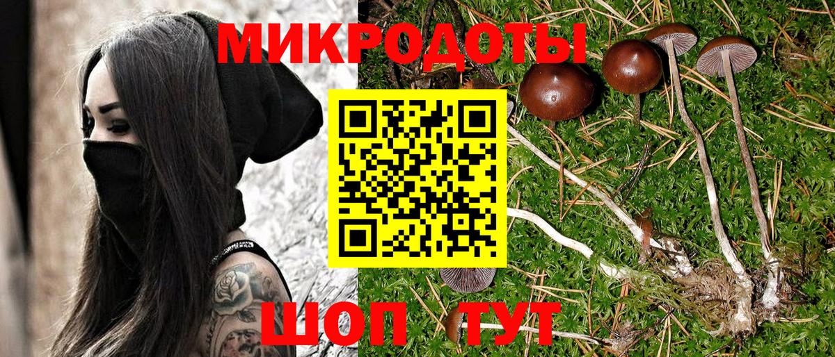 Псилоцибиновые грибы MAGIC MUSHROOMS  Вход с VPN  Кирово-Чепецк 